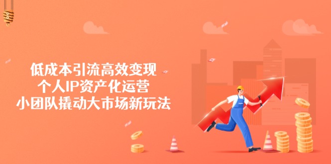 低成本引流高效变现，个人IP资产化运营，小团队撬动大市场新玩法-爱找项目网