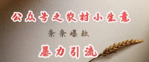 deepseek写农村小项目，条条爆款，暴力引流-爱找项目网
