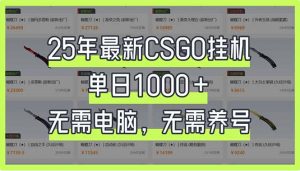 25年最新CSGO挂机系统，单日1000+，无需电脑，无需养号，0基础可上手-爱找项目网