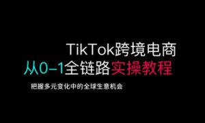 TikTok跨境电商从0-1全链路全方位实操教程，把握多元变化中的全球生意机会-爱找项目网