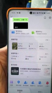 抖音暴力涨粉技术：一天轻松1-10万粉，技术不确定真实性，自测-爱找项目网