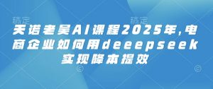 天诺老吴AI课程2025年，电商企业如何用deeepseek实现降本提效-爱找项目网