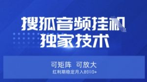 【搜狐音频挂G】独家技术，可矩阵可放大，红利期稳定月入8k【揭秘】-爱找项目网