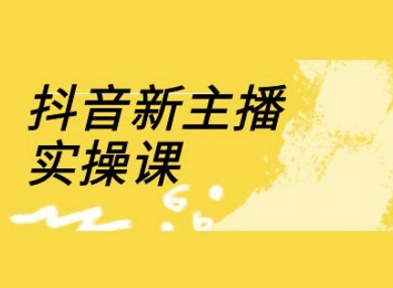 抖音新主播实操课，直播间流量运营线上实操课(18节)-爱找项目网