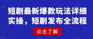短剧最新爆款玩法详细实操，短剧发布全流程-爱找项目网