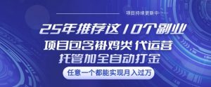 25年推荐这10个副业项目包含褂鸡类、代运营托管类、全自动打金类【揭秘】-爱找项目网