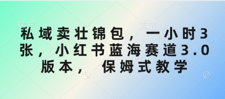 私域卖壮锦包，一小时3张，小红书蓝海赛道3.0版本， 保姆式教学-爱找项目网