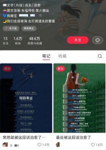 小红书治愈文案图文笔记，零门槛，一分钟制作轻松制作爆款作品月入万元-爱找项目网