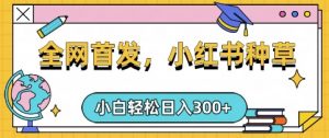 小红书种草，手机项目，日入3张，复制黏贴即可，可矩阵操作，动手不动脑【揭秘】-爱找项目网