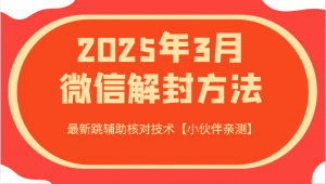 2025年3月微信解封方法 最新跳辅助核对技术【小伙伴亲测】-爱找项目网