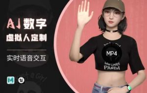 Ai数字人虚拟(智能体)实时语音交互特训营,自行定制超写实角色AI数字人交互技术-爱找项目网