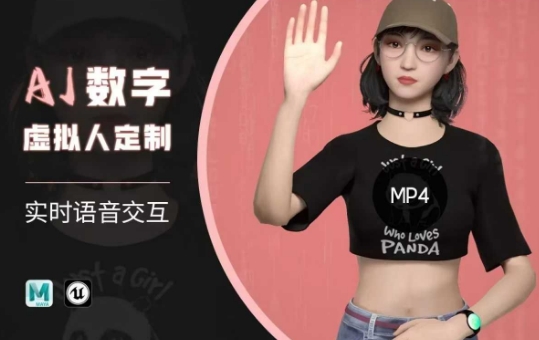 Ai数字人虚拟(智能体)实时语音交互特训营，​自行定制超写实角色AI数字人交互技术-爱找项目网