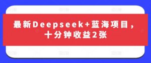 最新Deepseek+蓝海项目，十分钟收益2张-爱找项目网