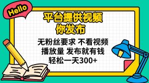 平台提供视频 你发布 无粉丝要求 不看视频播放量 发布就有钱 轻松一天300+-爱找项目网