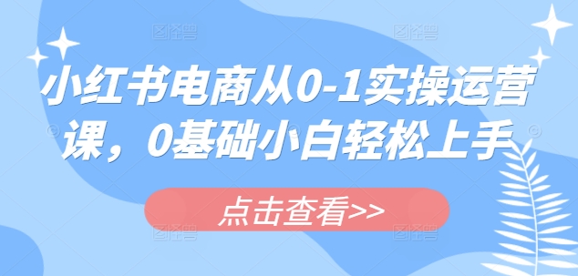 小红书电商从0-1实操运营课，0基础小白轻松上手-爱找项目网