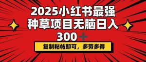 2025小红书最强种草项目，无脑日入300+，复制粘帖即可，多劳多得-爱找项目网
