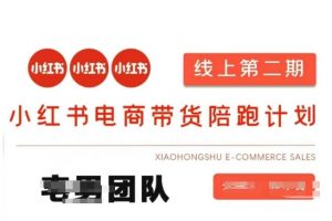 小红书电商带货课2期，月利润20个的小红书电商的有货源，无货源，虚拟产品，付费投流等整套玩法-爱找项目网