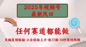 2025年视频号新风口，低门槛只需要无脑执行-爱找项目网