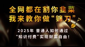 全网都在割你韭菜，我来教你做镰刀,2025普通人如何通过知识付费，实现财F自由【揭秘】-爱找项目网