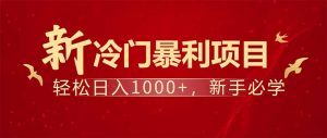 项目名称：每天一小时，轻松到手1000，冷门赚钱项目！-爱找项目网