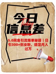 5.0闲鱼引流爆单秘籍，日引300+创业粉，稳定月入过W-爱找项目网