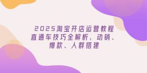 2025淘宝开店运营教程更新，直通车技巧全解析，动销、爆款、人群搭建-爱找项目网