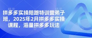拼多多实操陪跑特训营弟子班，2025年2月拼多多实操课程，海量拼多多玩法-爱找项目网