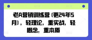 老A营销训练营(更25年3月)，轻理论，重实战，轻概念，重本质-爱找项目网