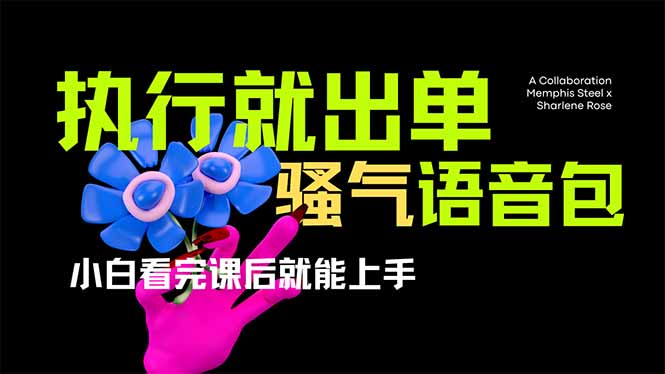 爆火全网的开车导航骚气语音包,只要执行就出单，小白看完课程就能实操…-爱找项目网