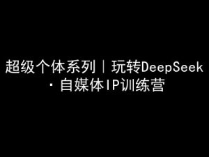超级个体系列，玩转DeepSeek·自媒体IP训练营，deepseek教程-爱找项目网