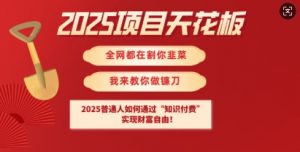 2025项目天花板普通人如何通过知识付费，实现财F自由【揭秘】-爱找项目网