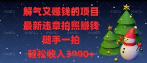 解气又挣钱的项目，最新违章拍照挣钱，随手一拍，轻松收入多张【揭秘】-爱找项目网