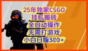 25年独家CSGO挂G搬砖，全自动操作，无需打游戏，小白日入3张+【揭秘】-爱找项目网