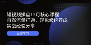 短视频操盘12月核心课程:自然流量打通,现象级IP养成,实战经验分享-爱找项目网