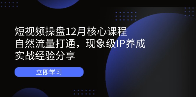 短视频操盘12月核心课程：自然流量打通，现象级IP养成，实战经验分享-爱找项目网