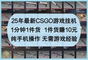 25年最新CSGO游戏挂机，1分钟1件货，1件货赚10元 纯手机操作 无需游戏经验-爱找项目网