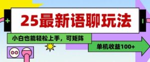 25年最新语聊玩法,纯手工,单机收益100+,小白也能轻松上手,可矩阵操作-爱找项目网