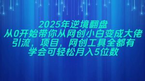 2025年逆境翻盘，从0开始带你从网创小白变成大佬，引流，项目，网创工...-爱找项目网
