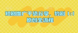短剧推广干货分享，豹剧 1:1原创全流程-爱找项目网