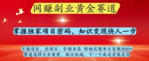 网创副业黄全赛道，掌握独家项目密码，知识变现快人一步，告别韭菜轻松实现单日变现1k+【揭秘】-爱找项目网