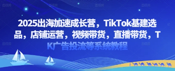 2025出海加速成长营，TikTok基建选品，店铺运营，视频带货，直播带货，TK广告投流等系统教程-爱找项目网