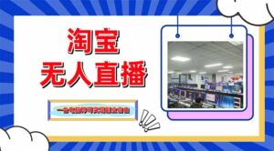 淘宝无人直播带货，单品打爆+搜索流打法，24小时必出单-爱找项目网