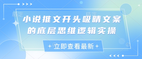 小说推文开头吸睛文案的底层思维逻辑实操-爱找项目网