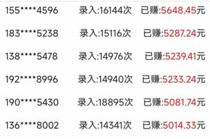 信息录入，几秒一单，只需一部手机，小白轻松上手，日入500＋-爱找项目网