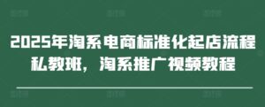 2025年淘系电商标准化起店流程私教班，淘系推广视频教程-爱找项目网