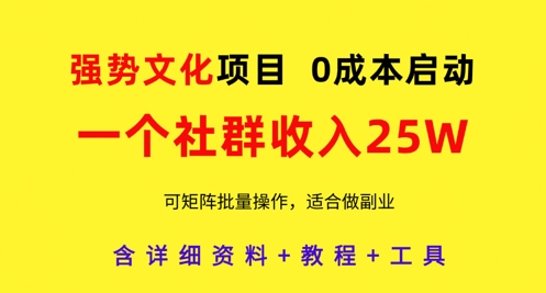 强势文化项目，一个社群收入25个W，0成本启动，可矩阵批量操作，原创详细实操教程-爱找项目网