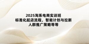 2025淘系电商实训班：标准化起店流程，智能计划与拉新，人群推广策略等等-爱找项目网