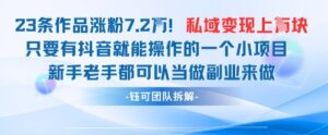 抖音私域项目23条作品涨粉7.2W，私域变现1W-爱找项目网