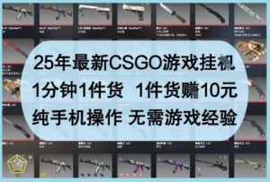 25年最新CSGO游戏挂G，1分钟1件货，1件货挣10元，纯手机操作，无需游戏经验【揭秘】-爱找项目网