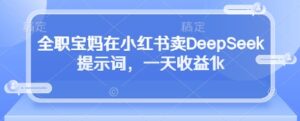 全职宝妈在小红书卖DeepSeek提示词,一天收益1k-爱找项目网